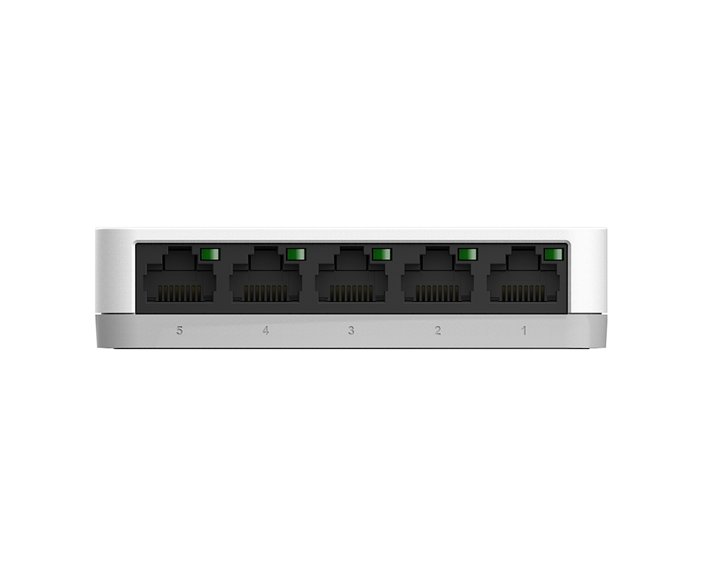 DGS1005A4.png